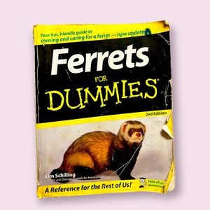 Ferrets for dummies book used
